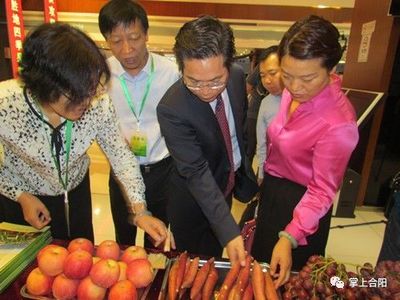 合陽紅提閃耀京城 富通合作社聯合社在京推介榮獲國家級殊榮